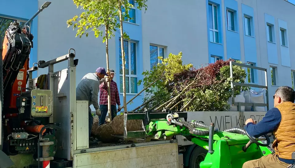 Tworzenie i pielęgnacja zieleni wokół Domów dla Rodzin
