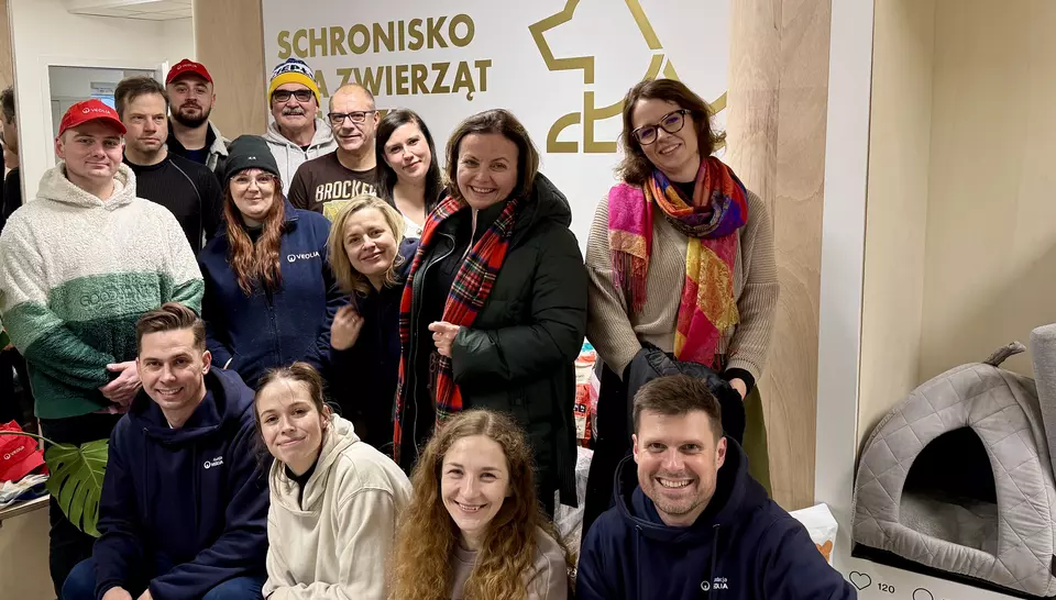 Wsparcie łódzkich zwierzaków karuzela