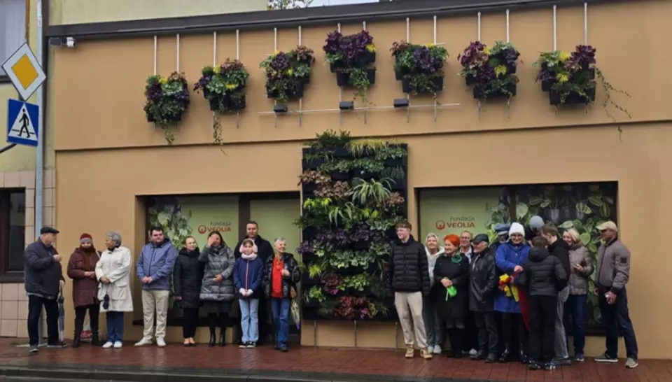 Zielony impuls - ogród wertykalny na Starym Mieście w Sokołowie Podlaskim
