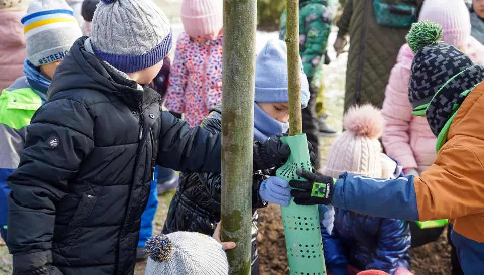 Zeroemisyjne stoisko karuzela 11